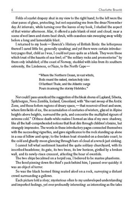Jane Eyre Авт: Charlotte Bronte Вид-во: Андронум - фото 3