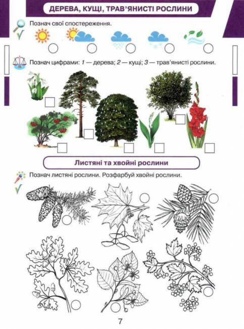 Робочий зошит Кейсбук до інтегрованого курсу Я досліджую світ 1 клас Частина 2 НУШ Авт: Андрусенко І.В. та ін. Вид-во: Грамота - фото 5