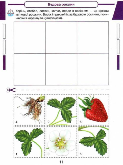 Робочий зошит Кейсбук до інтегрованого курсу Я досліджую світ 1 клас Частина 2 НУШ Авт: Андрусенко І.В. та ін. Вид-во: Грамота - фото 6