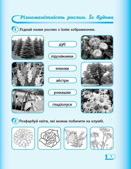 Робочий зошит Я досліджую світ 1 клас Частина 2 НУШ До підручника Гільберг Т.В. та ін. Авт: Назаренко А.А. Вид-во: Ранок - фото 2