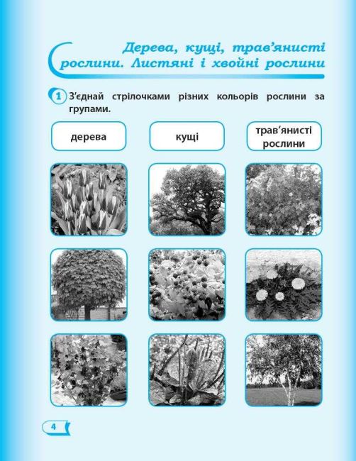 Робочий зошит Я досліджую світ 1 клас Частина 2 НУШ До підручника Гільберг Т.В. та ін. Авт: Назаренко А.А. Вид-во: Ранок - фото 5