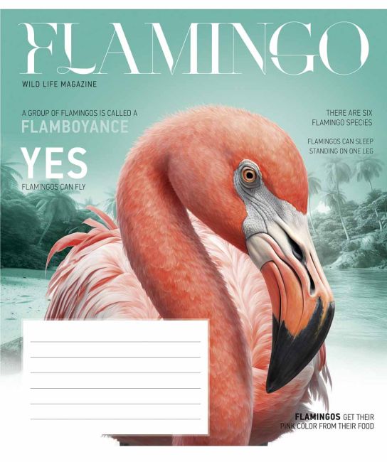 Зошит учнівський, 18арк., у клітинку, ВД-лак, Star - фото 1