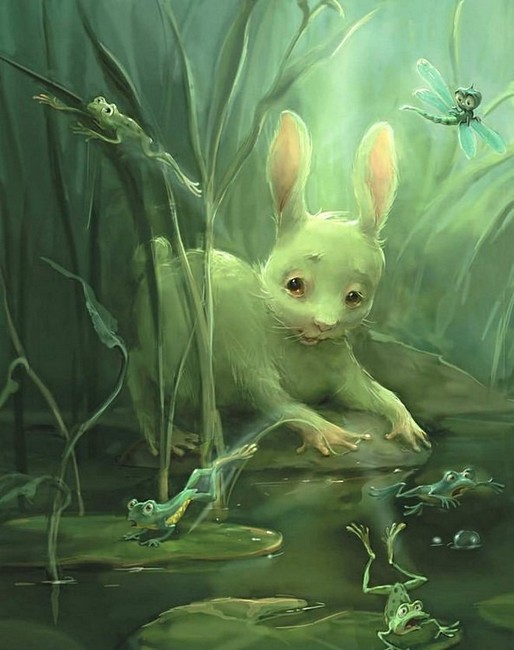 Жабеня, ставок і море Авт: Андрій Кокотюха Вид-во: Богдан - фото 4