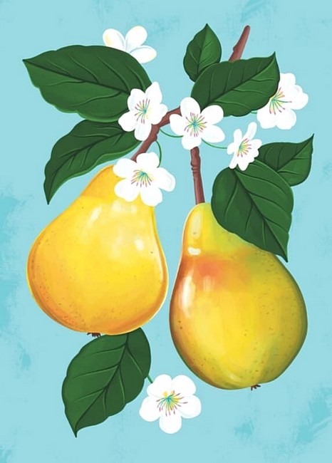 Листівка вітальна «Груша» - фото 1