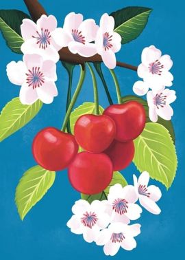 Листівка вітальна «Черешня» Листівка вітальна «Черешня» - Вітальні листівки