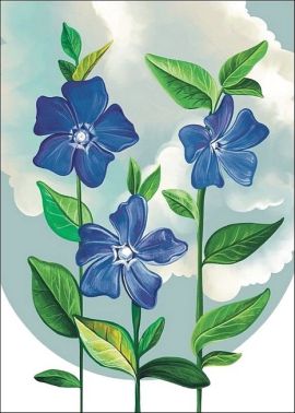 Листівка вітальна «Барвінок»