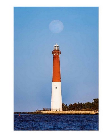 Випадково Вес Андерсон Авт: Воллі Ковал Вид-во: ArtHuss - фото 5