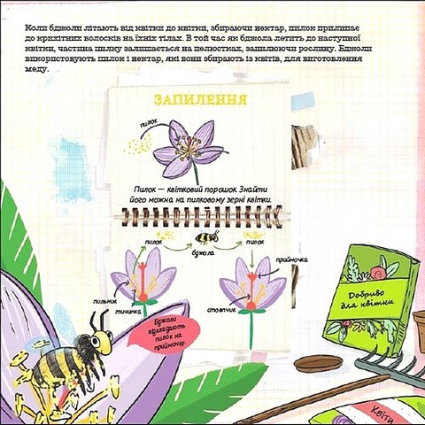 Як мурахи рятуються від повені? - фото 5