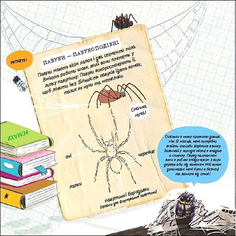 Як мурахи рятуються від повені? - фото 7