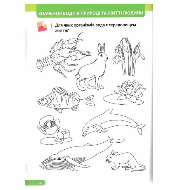 Робочий зошит Я досліджую світ 1 клас у 2-х частинах Частина 1 НУШ До підручника І. Жаркової та ін. Авт: Жаркова І. Мечник Л. Вид-во: Підручники і посібники - фото 7