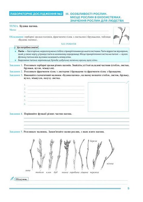 Практикум Біологія 7 клас НУШ за модельною навчальною програмою А.М. Самойлова та ін. Авт: Л.М. Тертична Вид-во: Богдан - фото 4