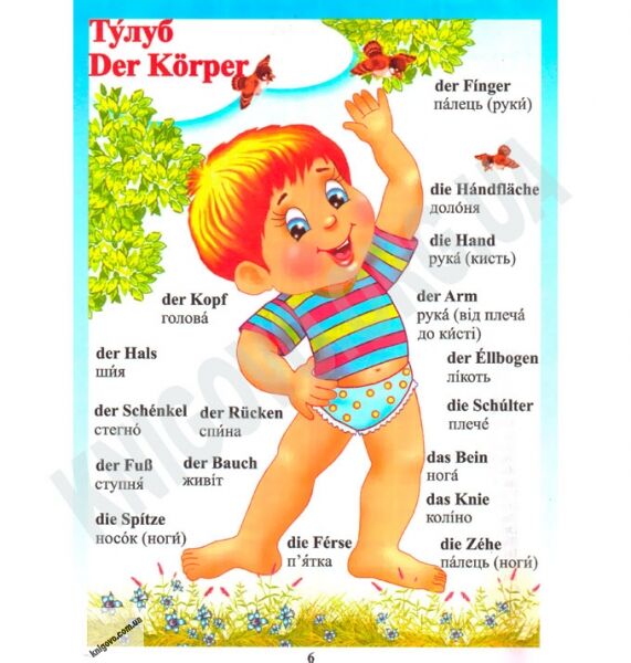 Німецько-Український словник в малюнках Для дошкільнят Авт: Крисенко С. Вид-во: Промінь - фото 2