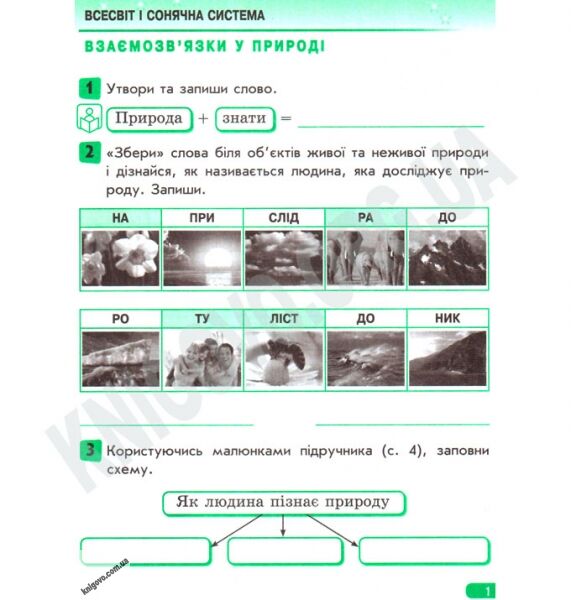 Природознавство Робочий зошит 4 клас Оновлена програма Тагліна - фото 2