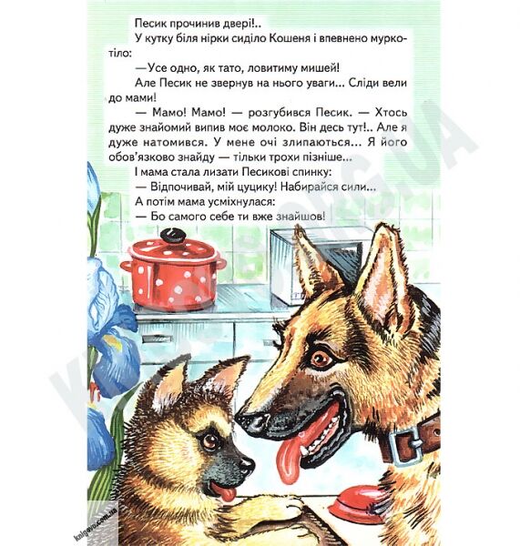 Веселка Пригодницькі історії Вид-во: Белкар - фото 3