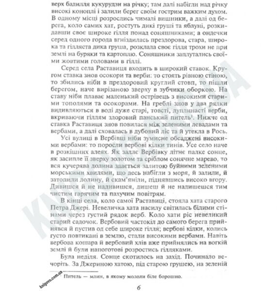Українська класика Кайдашева сімя Авт: Нечуй-Левицький І. Вид-во: Фоліо - фото 3