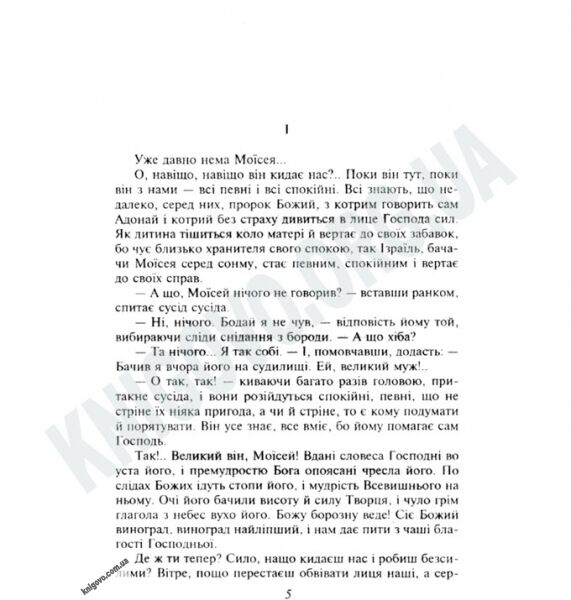 Українська література Авірон Камінна душа Авт: Гнат Хоткевич Вид-во: Фоліо - фото 2