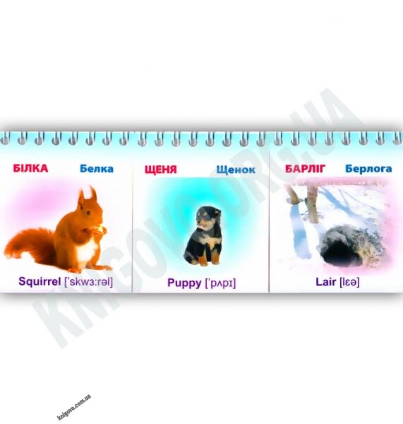 Домик на спирали Who where lives Изд-во: Харьков - фото 3