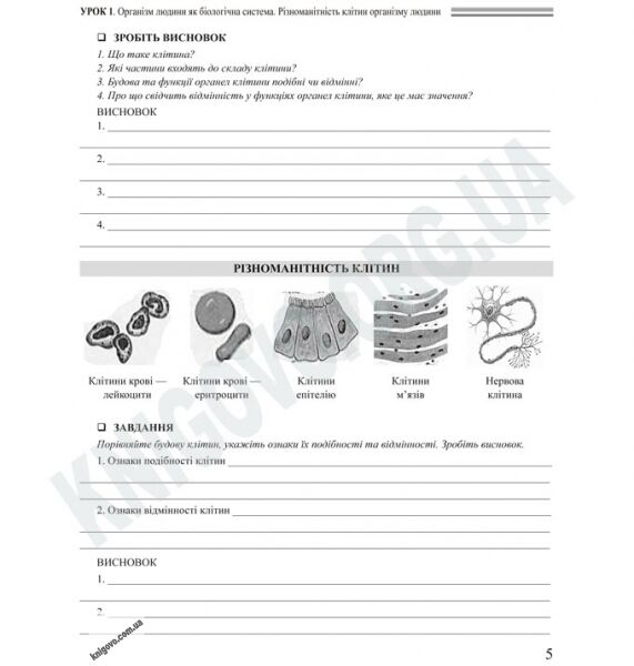 Навчально-моніторинговий комплект Біологія 8 клас І семестр Нова програма Авт: Іонцева А. Вид-во: Ранок - фото 3