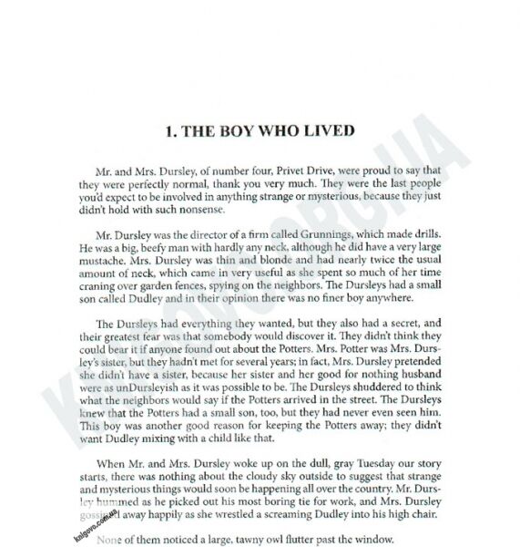 Harry Potter and the Philosophers Stone Book 1 by J.K. Rowling - фото 2