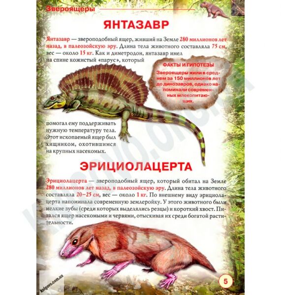 Энциклопедия Динозавры и другие древние животные Авт: Завязкин О. Изд-во: Кристал Бук - фото 3