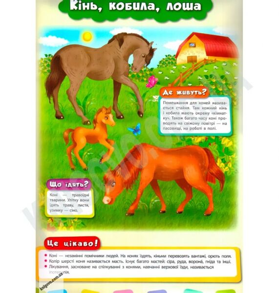 Розвивайко для малят Свійські тварини Авт: Воронкова Я. Вид-во: УЛА - фото 2