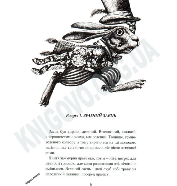 Розбійник Пинтя у Заклятому місті Авт: Гаврош О. Вид-во: АБАБАГАЛАМАГА - фото 2