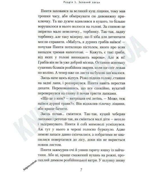 Розбійник Пинтя у Заклятому місті Авт: Гаврош О. Вид-во: АБАБАГАЛАМАГА - фото 3