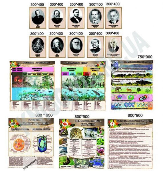 Кабінет біології Комплект стендів Артікул: 12463 Виробник: Інтердизайн - фото 1