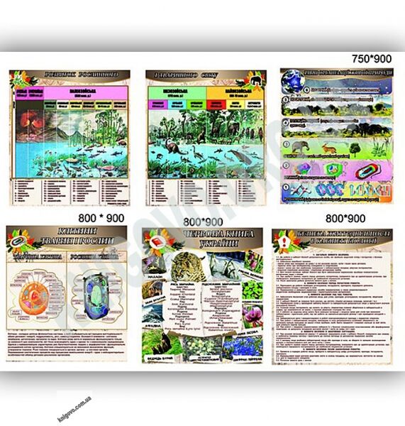 Кабінет біології Комплект стендів Артікул: 12463 Виробник: Інтердизайн - фото 2