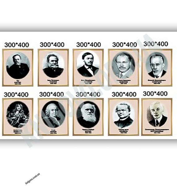 Кабінет біології Комплект стендів Артікул: 12463 Виробник: Інтердизайн - фото 5