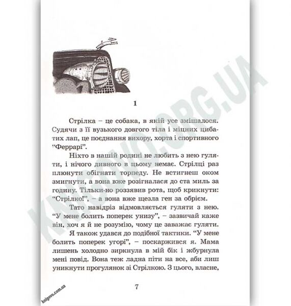Ракета на чотирьох лапах Авт: Джеремі Стронґ Вид: Старого Лева - фото 3