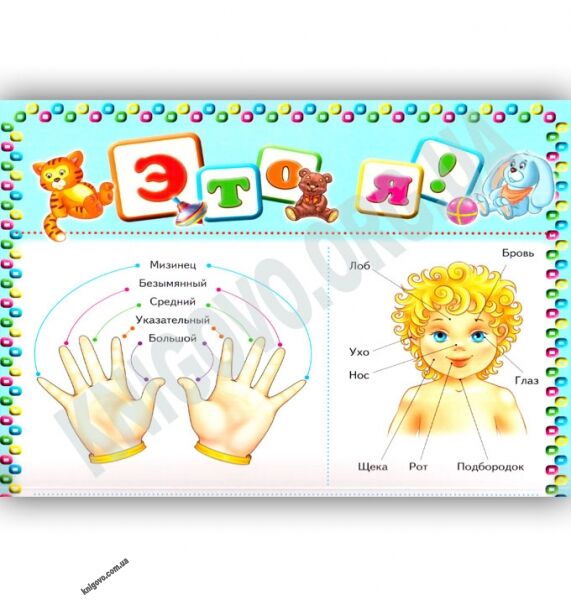 Моя первая книга Животные Транспорт Время Сравнения Изд: Пегас - фото 3