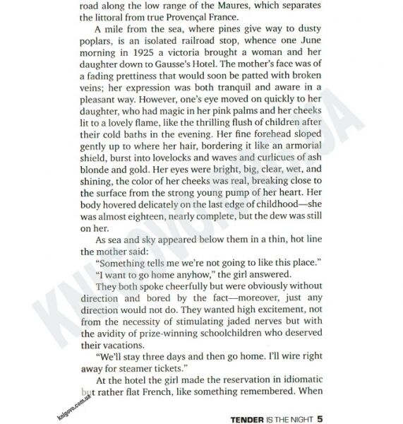 KM Classic Tender is the Night by F. Scott Fitzgerald - фото 3