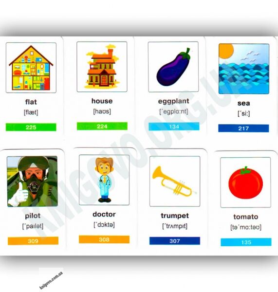 Перші англійські слова 360 карток 20 тем Вид-во: Арій - фото 2