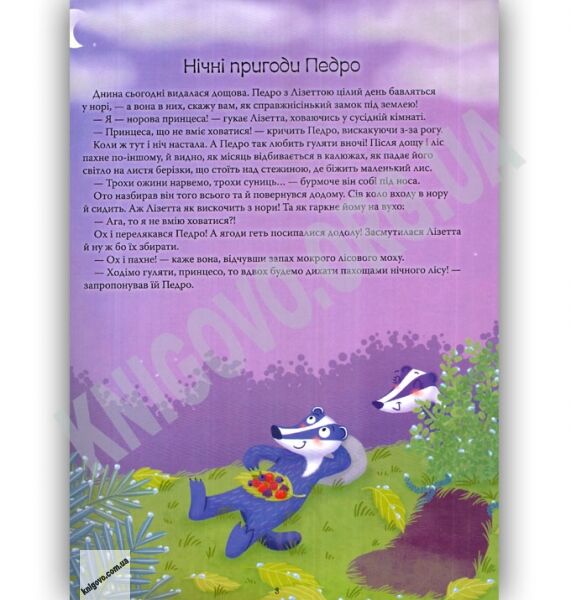 100 казочок із чарівного лісу Авт: Саве М. Вид: Країна мрій - фото 2