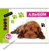 Альбом для малювання Рet Collection Шарпей 40 аркушів Код 260136 Ranok - Альбоми для малювання