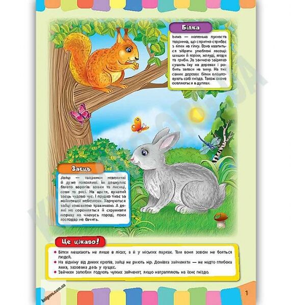 Моя перша енциклопедія Дикі тварини Розвивайко для малят Авт: Іванець Л. Вид: УЛА - фото 2