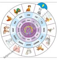 Обертайка Вивчаємо англійську Свійські тварини Вид: УЛА Обертайка Вивчаємо англійську Свійські тварини Вид: УЛА - Вивчаємо Англійську