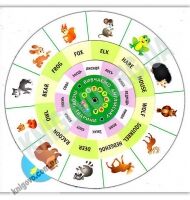 Обертайка Вивчаємо англійську Лісові тварини Вид: УЛА - Вивчаємо Англійську