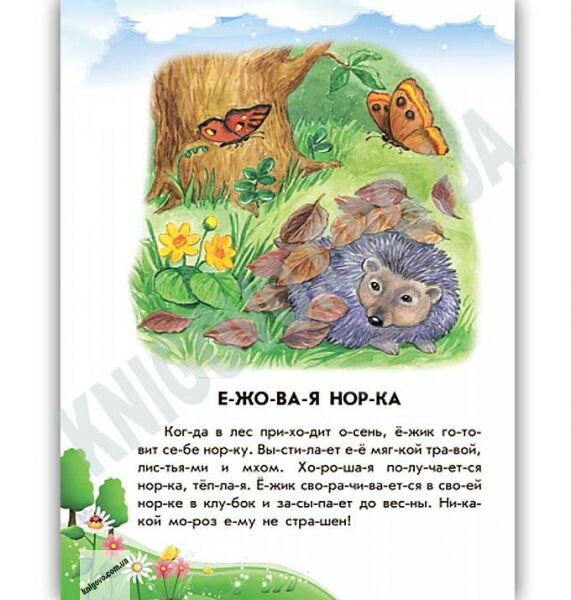 10 историй по слогам Непослушные тарелки Авт Каспарова Юлия Изд Ранок - фото 2