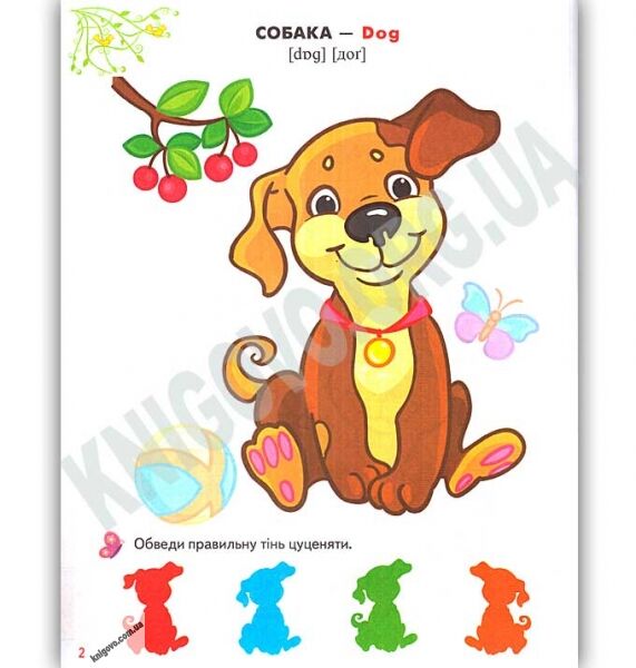 Розмальовки та завдання Улюблені тварини 100 наліпок Вид: Пегас - фото 2