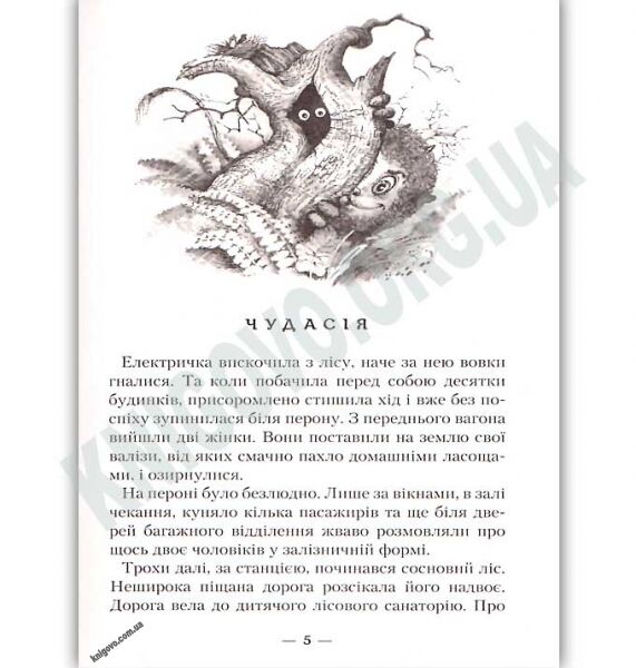 Бухтик з тихого затону Авт: Рутківський В. Вид: АБАБАГАЛАМАГА - фото 2