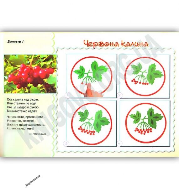 Маленький митець Альбом з малювання Осінь-зима 4 рік життя Авт: Бровченко А. Вид: Генеза - фото 2