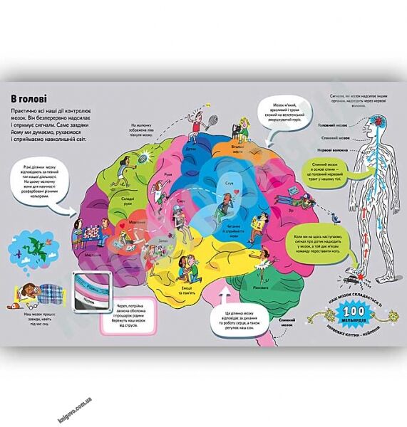 Велика книга про тіло Авт: Мінна Лейсі Вид: АРТБУКС - фото 2