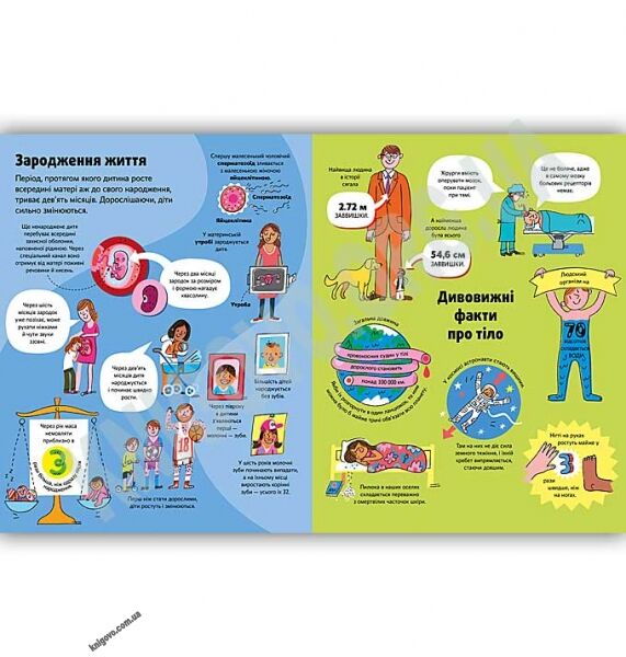 Велика книга про тіло Авт: Мінна Лейсі Вид: АРТБУКС - фото 3