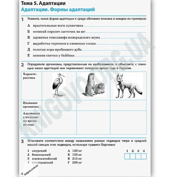 Рабочая тетрадь Биология и экология Уровень стандарта 11 класс Новая программа Задорожный Ранок - фото 2