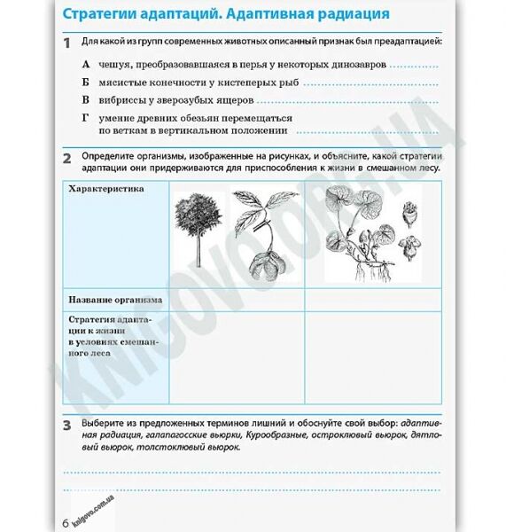 Рабочая тетрадь Биология и экология Уровень стандарта 11 класс Новая программа Задорожный Ранок - фото 3