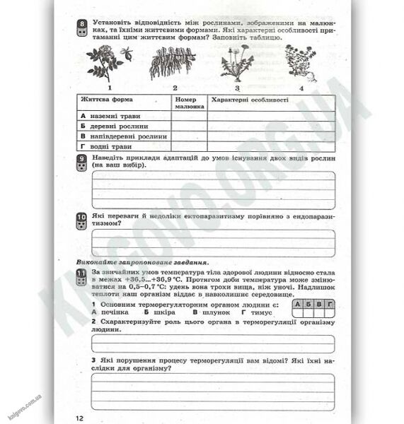 Зошит для оцінювання результатів навчання Біологія і екологія Стандарт 11 клас Програма 2019 Безручкова Ранок - фото 3