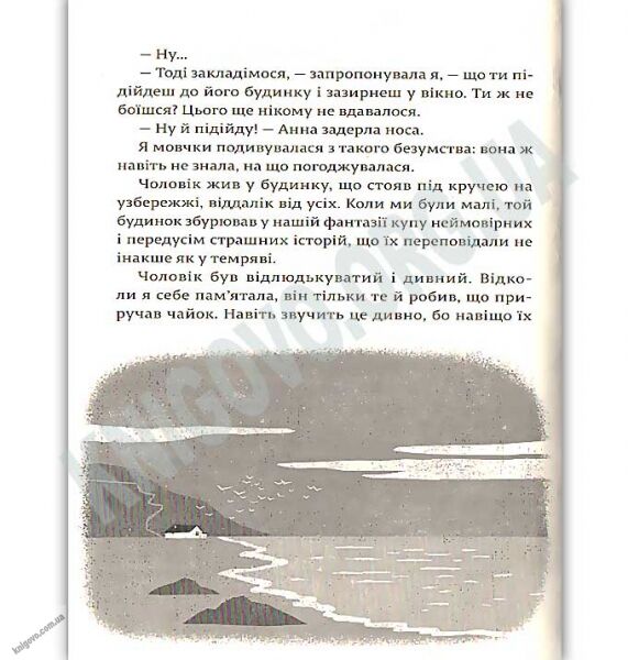34 сонячні дні і один похмурий Авт: Русіна Оля Видавництво Старого Лева - фото 3
