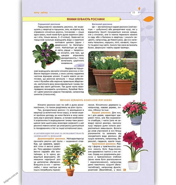 Нова енциклопедія кімнатних рослин Авт: Марія Цвєткова Вид: Школа - фото 2